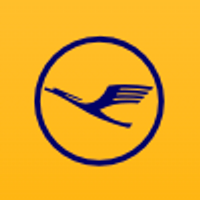 LH yellow